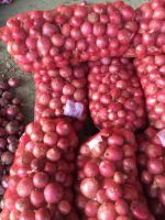 GAP Superior Fresh Red Onions For Sale, Red Onion Fresh, 10KG Red Onion