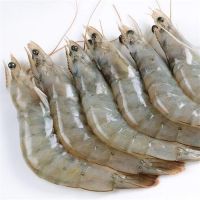 frozen HLSO/HOSO prawn frozen Penaeus Vannamei Shrimp