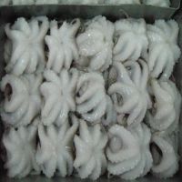 Frozen Octopus ( High Quality )/Frozen Cut Baby Octopus