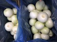 Fresh Onion Red onion / Gold onion , High quality best price
