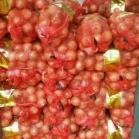 Fresh excellent grade vegetable best price red onion