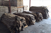 Donkey Hides Supplier - Donkey Skin For Sal