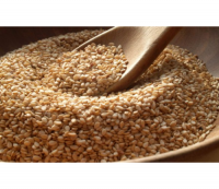 SESAME SEEDS