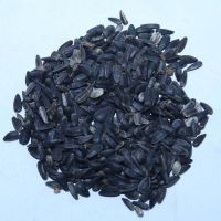 SUNFLOWER SEEDS