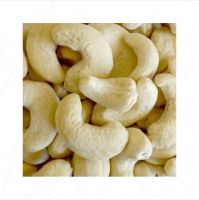 Best PRICE !!! High Quality Cashew Nuts Cashew W180- W240- W320- W450