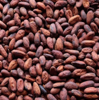 Pure Natural Cocoa / Organic COCOA BEANS 