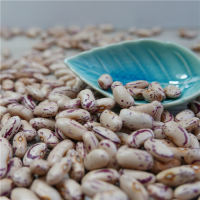 2019 new crop,long/round type Best Light Speckled Kidney Beans 