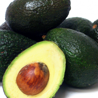 Premium Grade Fresh Hass Avocado/Hass Avocado/Fuerte Avocado Fruit