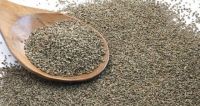 Pure Natural Carom Seeds/Ajwain Seeds/Celery Seeds