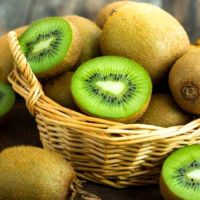 Fresh Kiwi Fresh Kiwi Fresh Green Kiwi Fruit Wholesale For Sale 