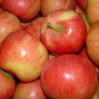 Fresh Fruit Sweet Juicy Royal Gala Apple