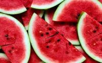 Watermelon FRESH MELONS FOR BEST WHOLESALE PRICE