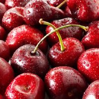 Fresh Dark Red Cherries / Fresh Cherries Fruits for Sale 