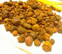 Ox Gallstones | Cattle Gallstones | Cow Gallstones