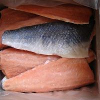 (Best Offer) Frozen Chum Salmon Fillet (Oncorhynchus Keta) 