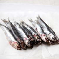 %100 Dried / Frozen Boiled Anchovy Top High Quality 