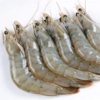 Top Quality Delicious Shrimp,Dried Shrimp