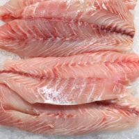 Good Quality trimmed, skinless, boneless frozen Pangasius fillet 