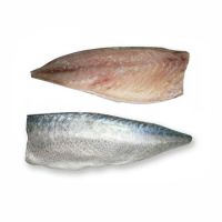 High Grade mackerel frozen fillets 