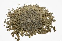 Authentic Mandheling Arabica G-1 Green Coffee Bean