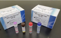 COVID Test Kits