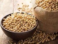 fresh organic soya beans