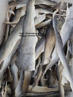 Dried Pangasius Fish Skin