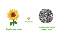 Sunflower Meal High Protein 36% (as Is) Non Pelleted, Sunflower Oil Cake, For Cattle Feed, Odessa Port, Ukraine