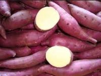 Fresh Sweet Potatoes