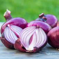 Grown Fresh Red Onions  Fresh MOQ 25 LBS Quick Delivery