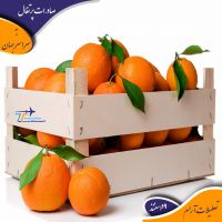 export of fresh fruits and vegetables 