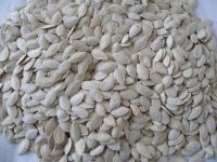 Cheap White Pumpkin Seeds 60% salt Salted Flavor Snow White Pumpkin 