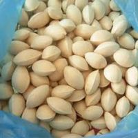 Ginkgo Nuts Good Quality forte Nuts Peeled raw dried Quality Raw Ginkgo Nuts / Kernels with shell and Without shell 