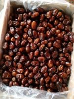 BARHI DATES WITH DELICIOUS TASTE BEST QUALITY FOR EXPORT 
