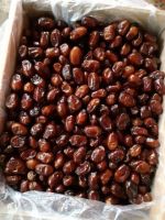 BARHI DATES WITH DELICIOUS TASTE BEST QUALITY FOR EXPORT 