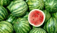 Natural Royal Fresh Watermelon Fruit For Sale Fresh Water Melon 