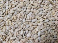 big size raw snack ton price sunflower seed kernel