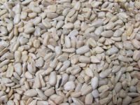 Wholesale Sunflower Seeds Kernel / Peeled Sunflower Seeds With Low Price