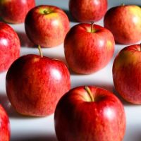 Fresh Apples Red Chief Red Delicious south africa origin 