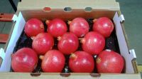 Fresh Organic Pomegranate Supplier