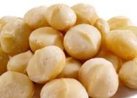 Premium Grade Raw Organic Macadamia Nuts