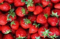 Fresh Frozen Red Strawberry Berries Am 13 