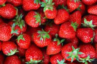 Fresh Strawberry, Fresh Berries , fresh style Berries, 