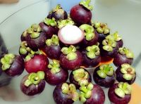 HOT SALES FRESH MANGOSTEEN FROM SOUTH AFRICA 