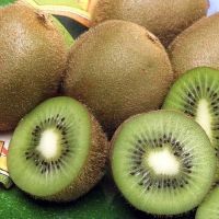 Premium Fresh Green Kiwifruit Organic Standard Green Heart Kiwi Fruit 