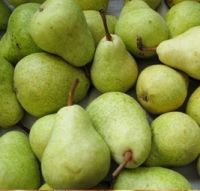 Quality Fresh Green Pears from South Africa 