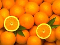 Organic Orange delicious fresh navel oranges 