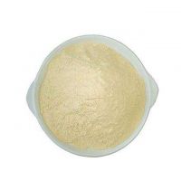 Feed grade factory price Concentrated Soy Protein 65% /CSP/SPC 