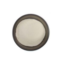 xanthan gum fine powder xanthan gum price xanthan gum manufacturer 