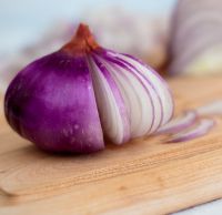 Fresh Onion Red onion / Gold onion , High quality best price 